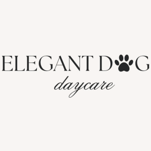 Elegant Dog Daycare Portland Hillsboro